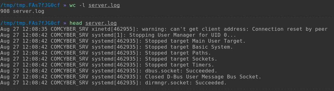 forensic syslog /assets/images/writeups/comcyber/forensic_syslog.png