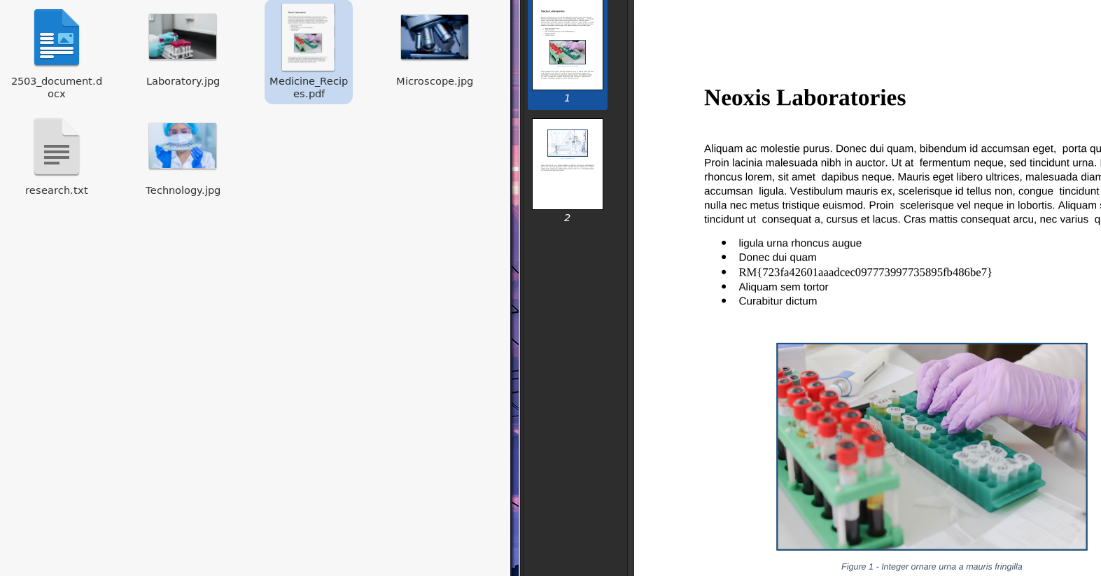 flag_in_file /assets/images/writeups/dgse/image16.png