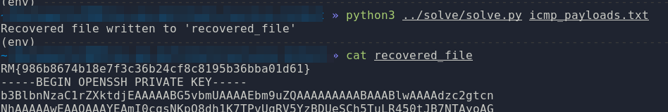 script_execution /assets/images/writeups/dgse/image34.png