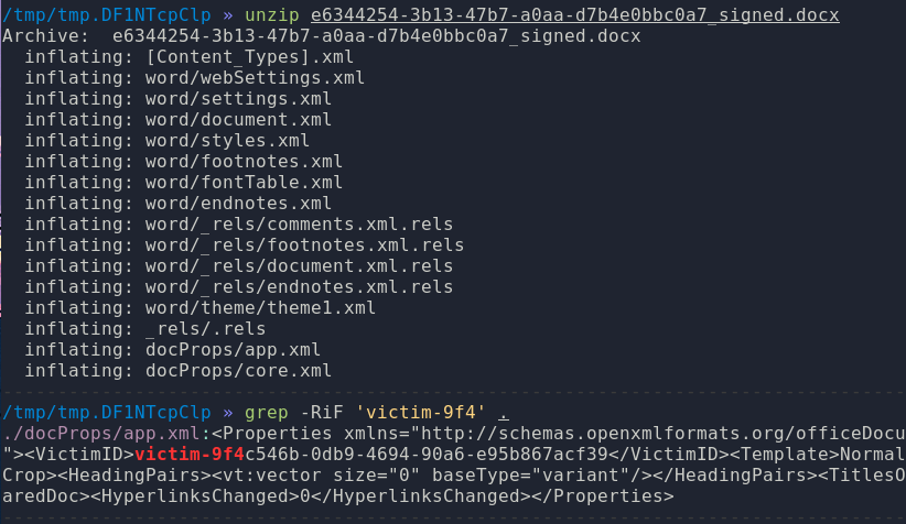 docx_structure /assets/images/writeups/dgse/image37.png